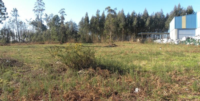 AMPLIACION E TRASLADO DE EMPRESA DE CONSTRUCCION E OBRAS